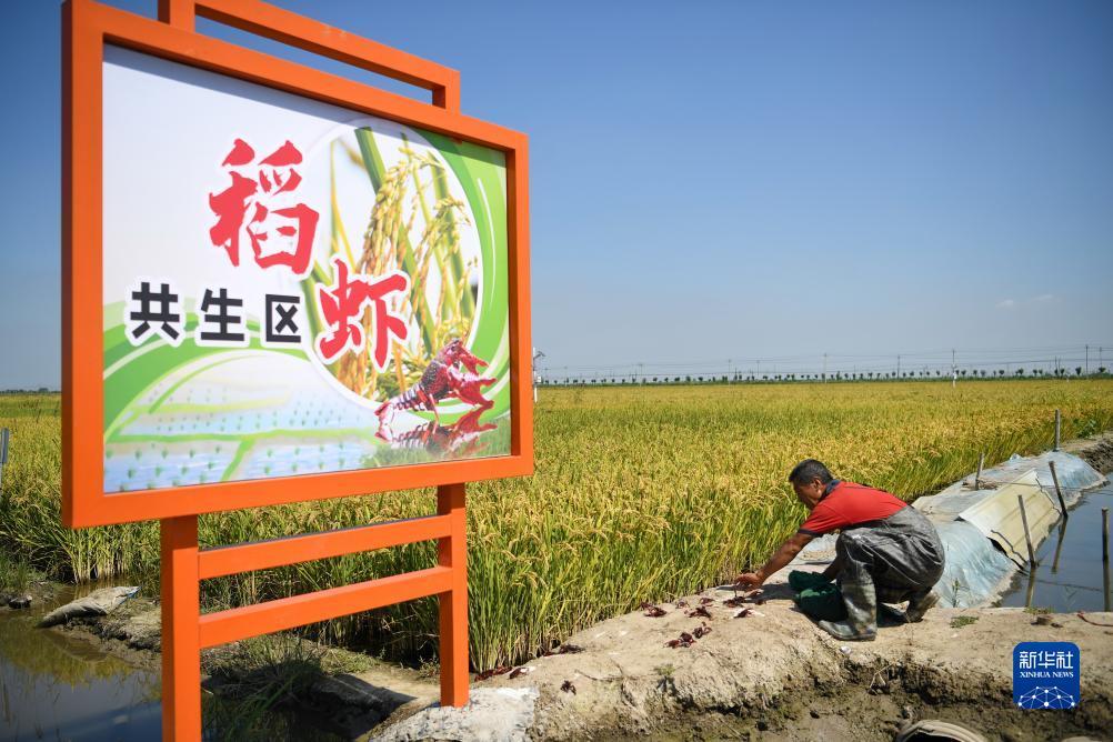 久赢论坛网址